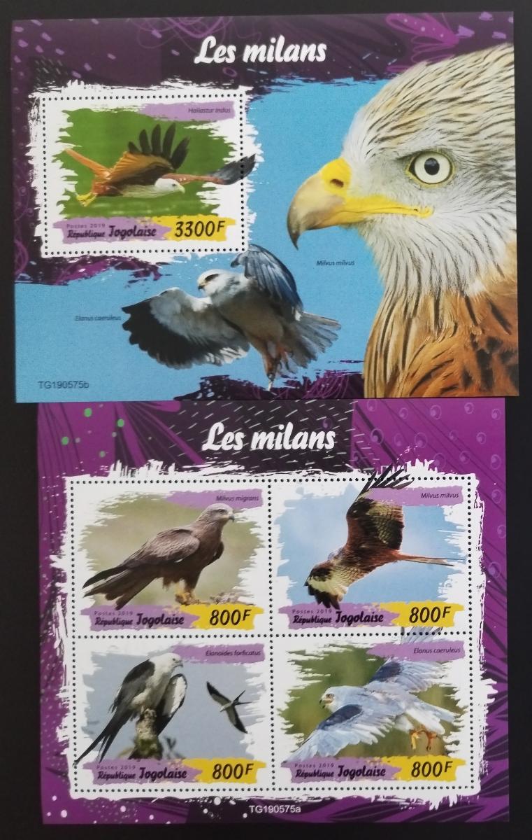 Togo 2019 Fauna země: Luňáci a draví ptáci