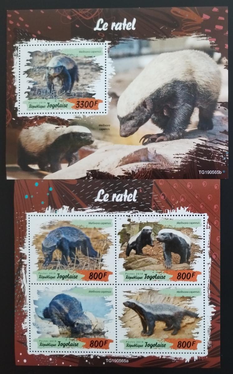Togo 2019 Fauna země: Medojedi, Savci