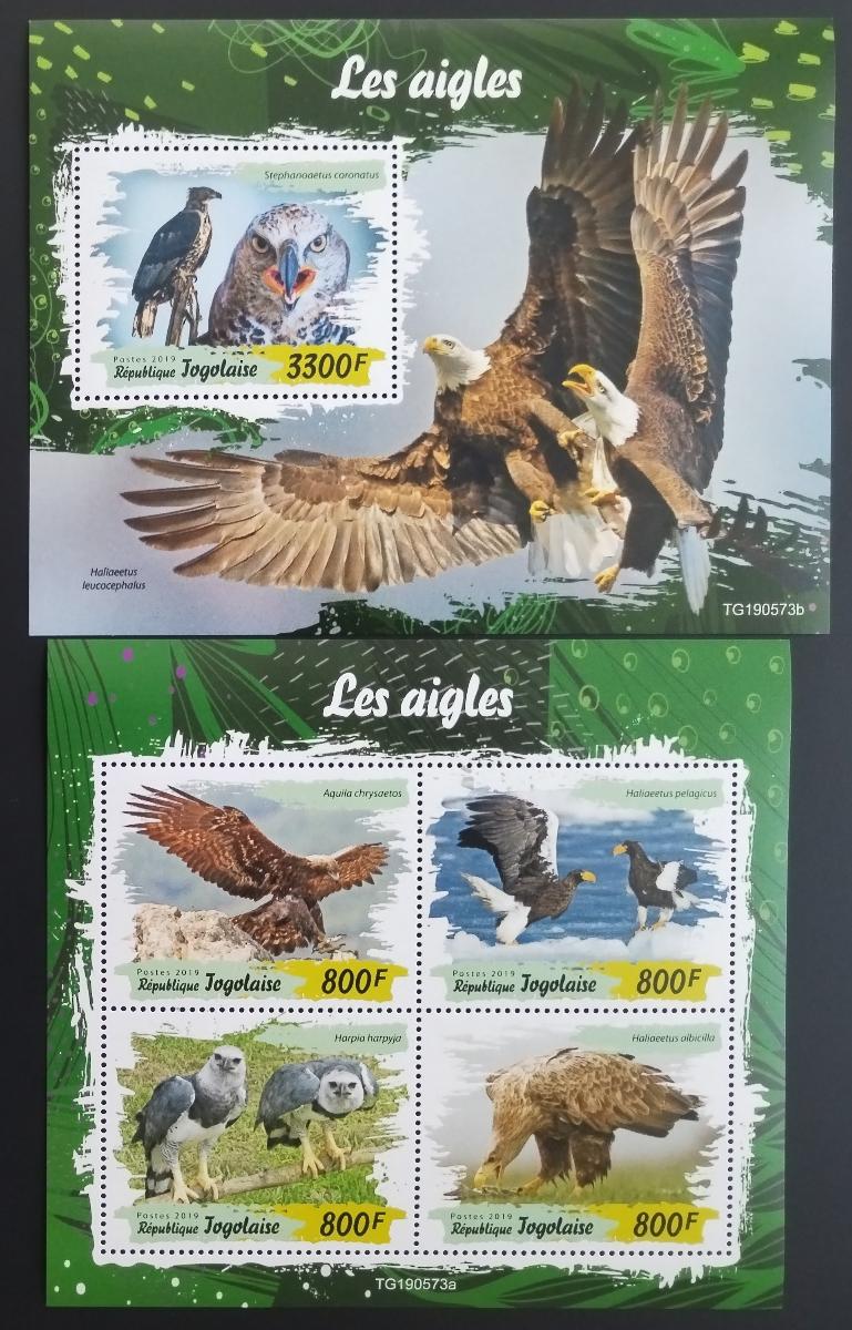 Togo 2019 Fauna země: Orli a draví ptáci