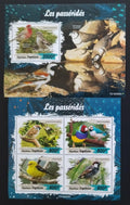 Togo 2019 Fauna země: Pěvci a zpěvní afričtí ptáci