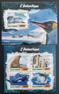 Togo 2019 Fauna země: Polární fauna, Tučňáci a kosatky