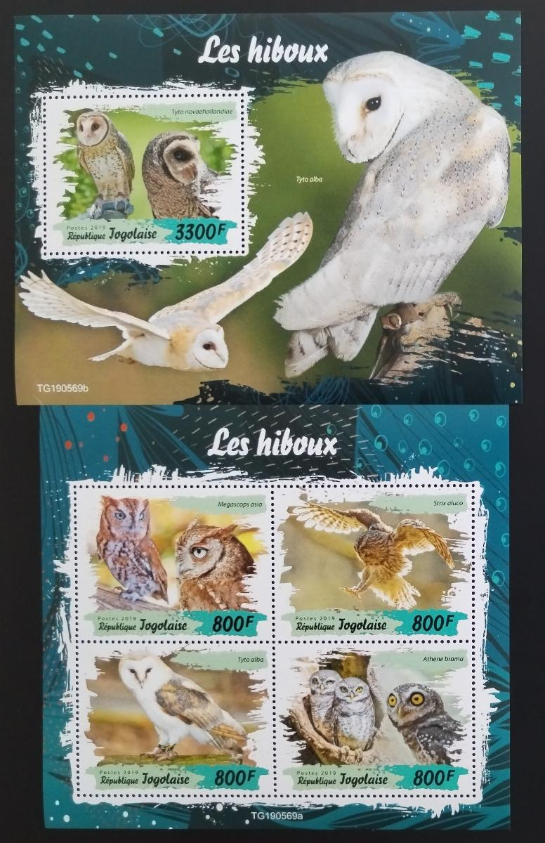 Togo 2019 Fauna země: Sovy a noční ptáci