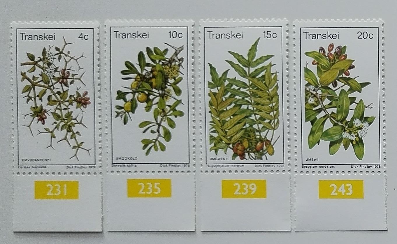 Transkei 1978 Jedlé plody stromů, Africká flora a květiny