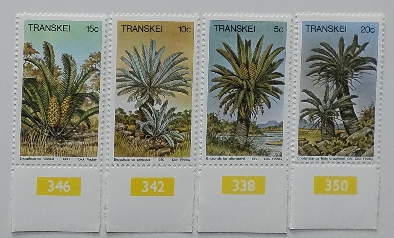 Transkei 1980 Kapradinové palmy, Flora Afriky