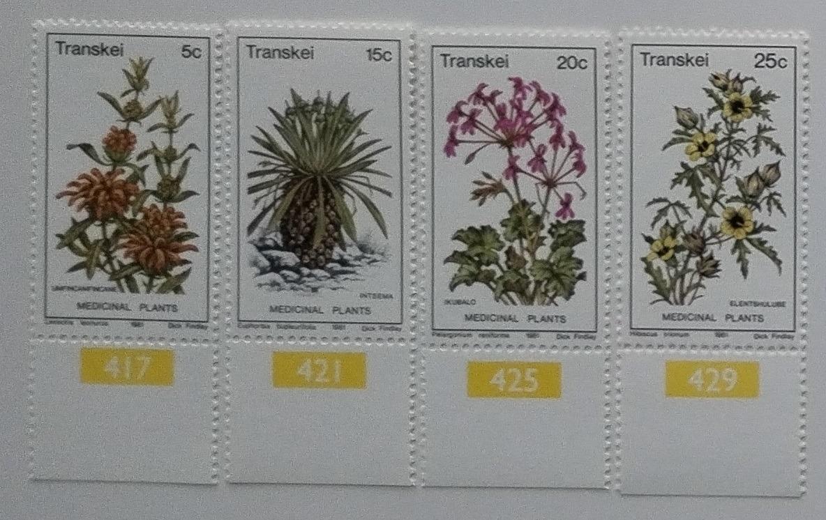 Transkei 1981 Léčivé rostliny a africká flora, Květiny