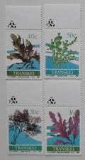Transkei 1988 Mořské řasy a chaluhy, Vodní flora
