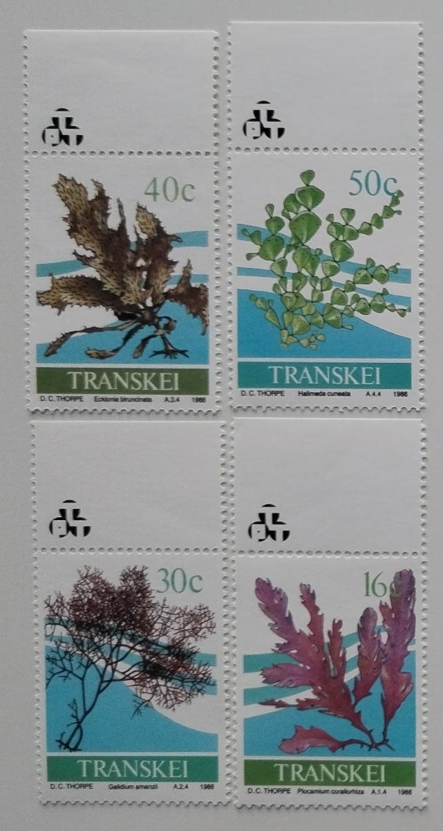 Transkei 1988 Mořské řasy a chaluhy, Vodní flora