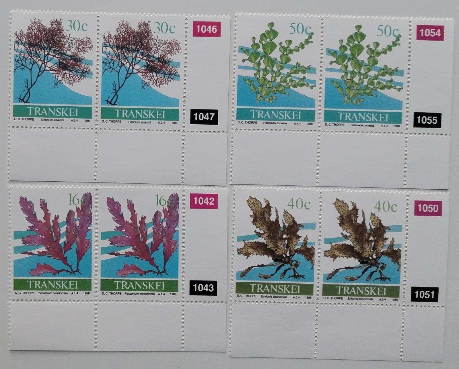 Transkei 1988 Mořské řasy a chaluhy, Vodní flora PÁRY
