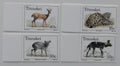 Transkei 1988 Ohrožená fauna - kočky, gazely a psi