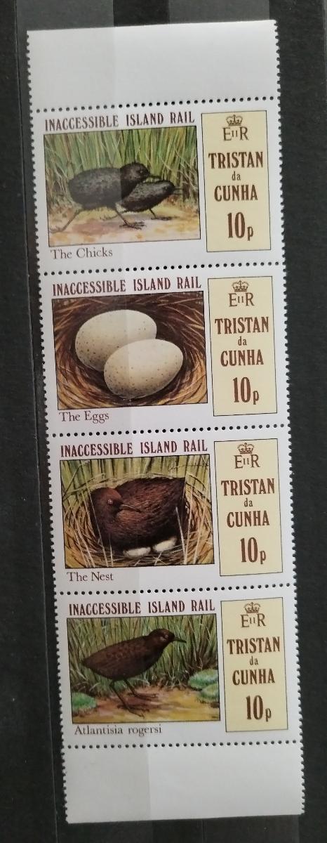 Tristan da Cunha 1981 Ostrovní ptáci a jejich vejce