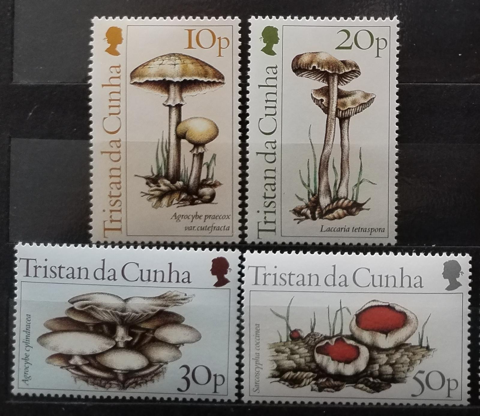 Tristan da Cunha 1984 Houby a flora ostrova