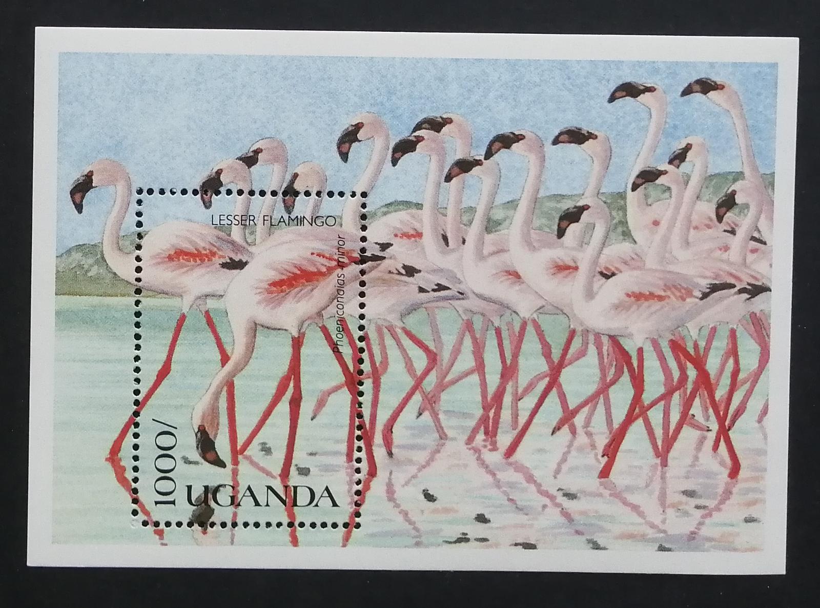 Uganda 1990 Bl.120 7,5€ Afričtí ptáci, plameňáci, fauna
