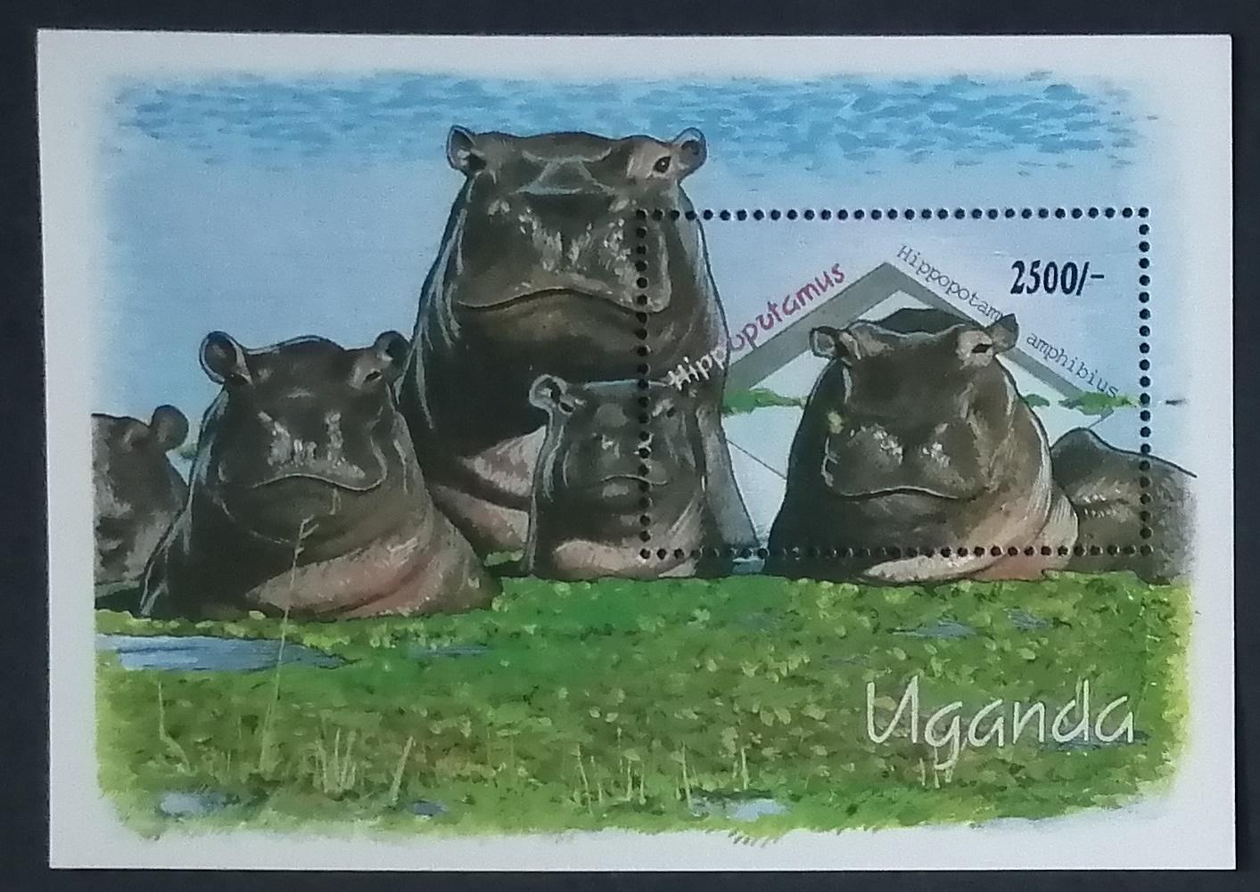 Uganda 1992 Bl.170 10€ Fauna Ugandy, hroši