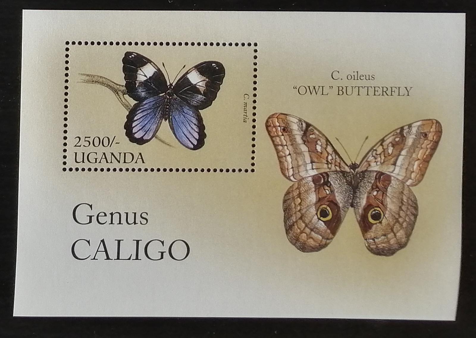Uganda 1996 Bl.257 6€ Afričtí motýli, C. martia