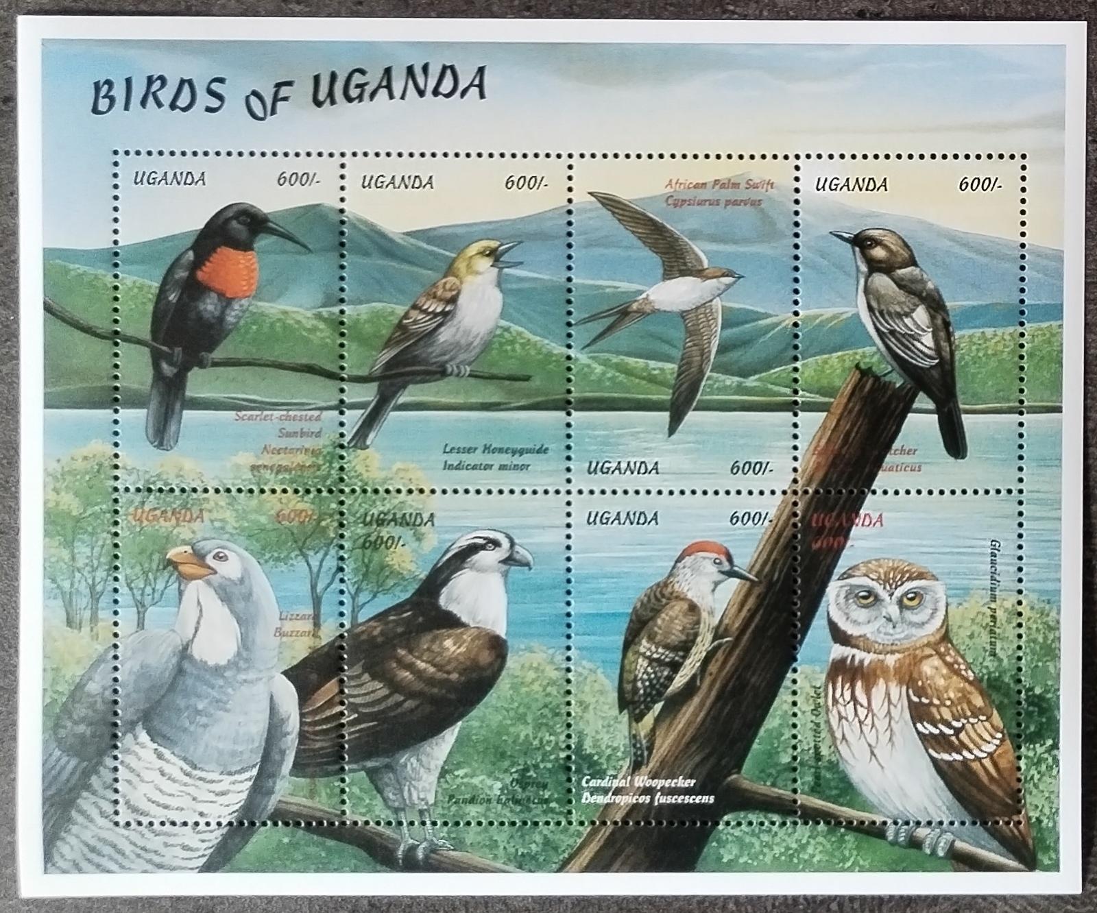 Uganda 1999 10€ Ptáci a fauna země, Sovy a dravci