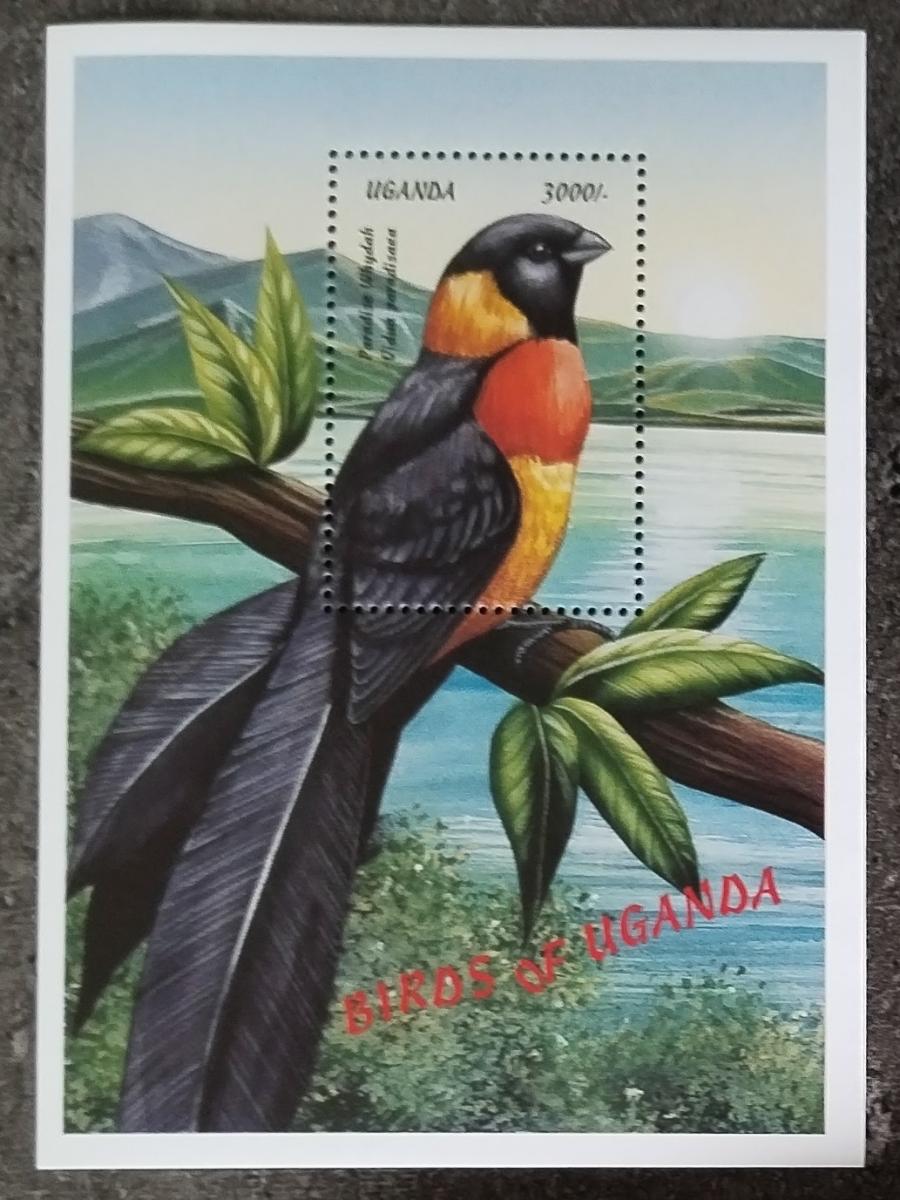 Uganda 1999 Bl.315 7,5€ Ptáci a fauna země, Vidua paradisaea