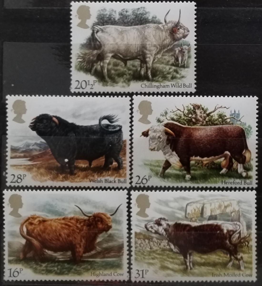 Velká Británie 1984 Výročí asociace chovatelů dobytka, Krávy
